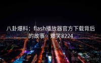 八卦爆料：flash播放器官方下载背后的故事 · 爆笑8224